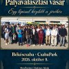 Pályaválasztási vásár 2026